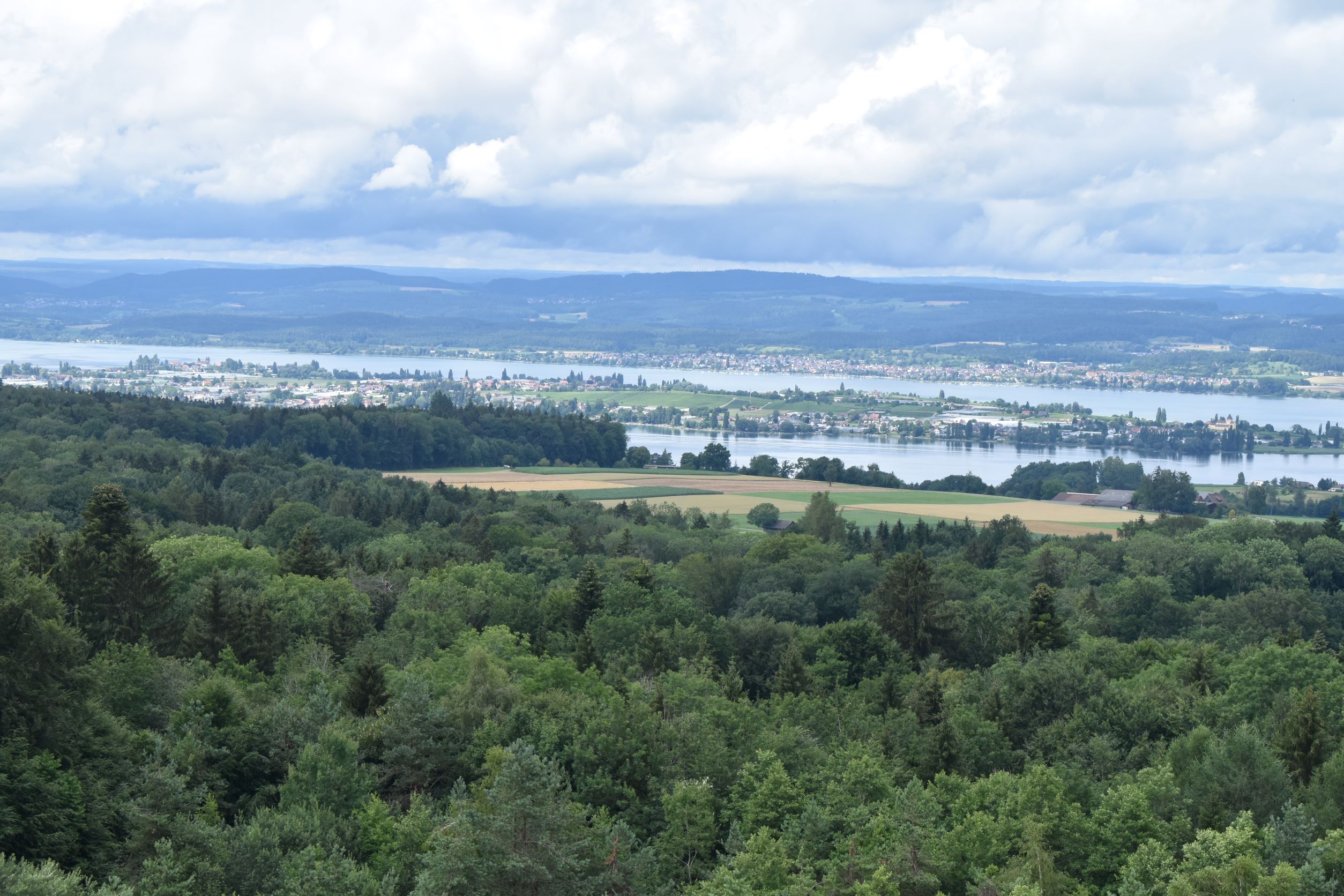 Aussicht vom Napoleonturm zur Insel Reichenau